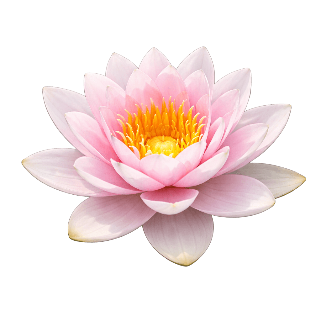 Water Lily - Symbol of Natural Medicine